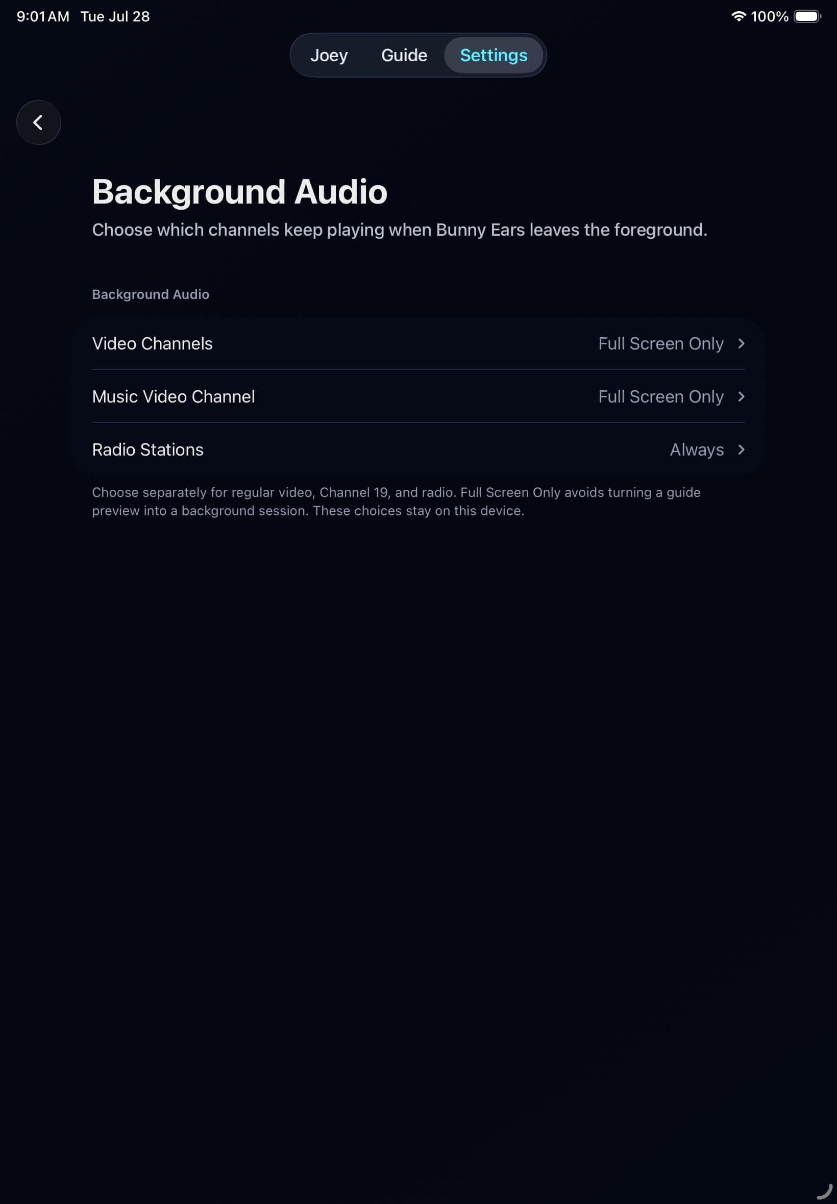 Background Audio settings for video, music videos, and Radio on iPad